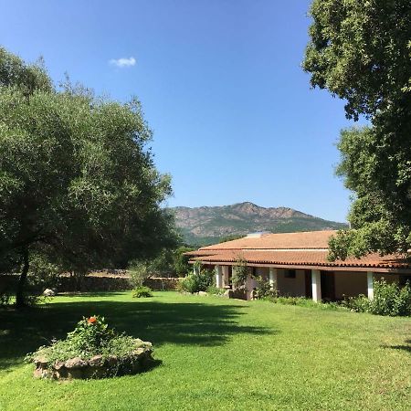 Agriturismo Su Pirastru Sa Castanza Exteriör bild