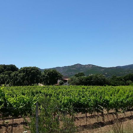 Agriturismo Su Pirastru Sa Castanza Exteriör bild