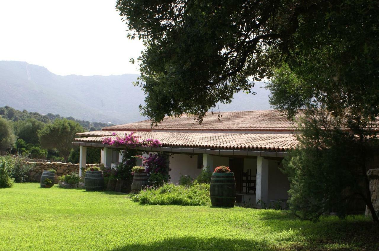 Agriturismo Su Pirastru Sa Castanza Exteriör bild