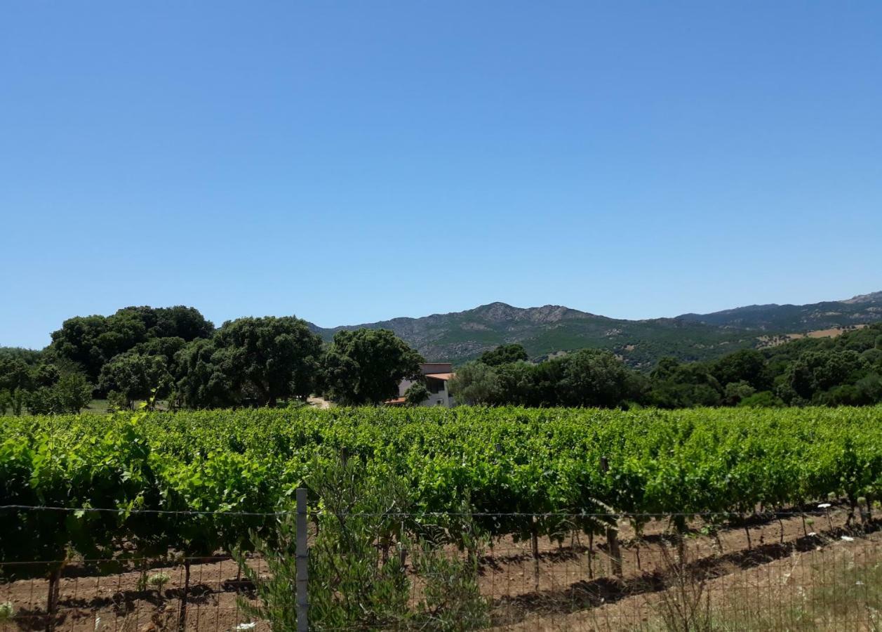 Agriturismo Su Pirastru Sa Castanza Exteriör bild